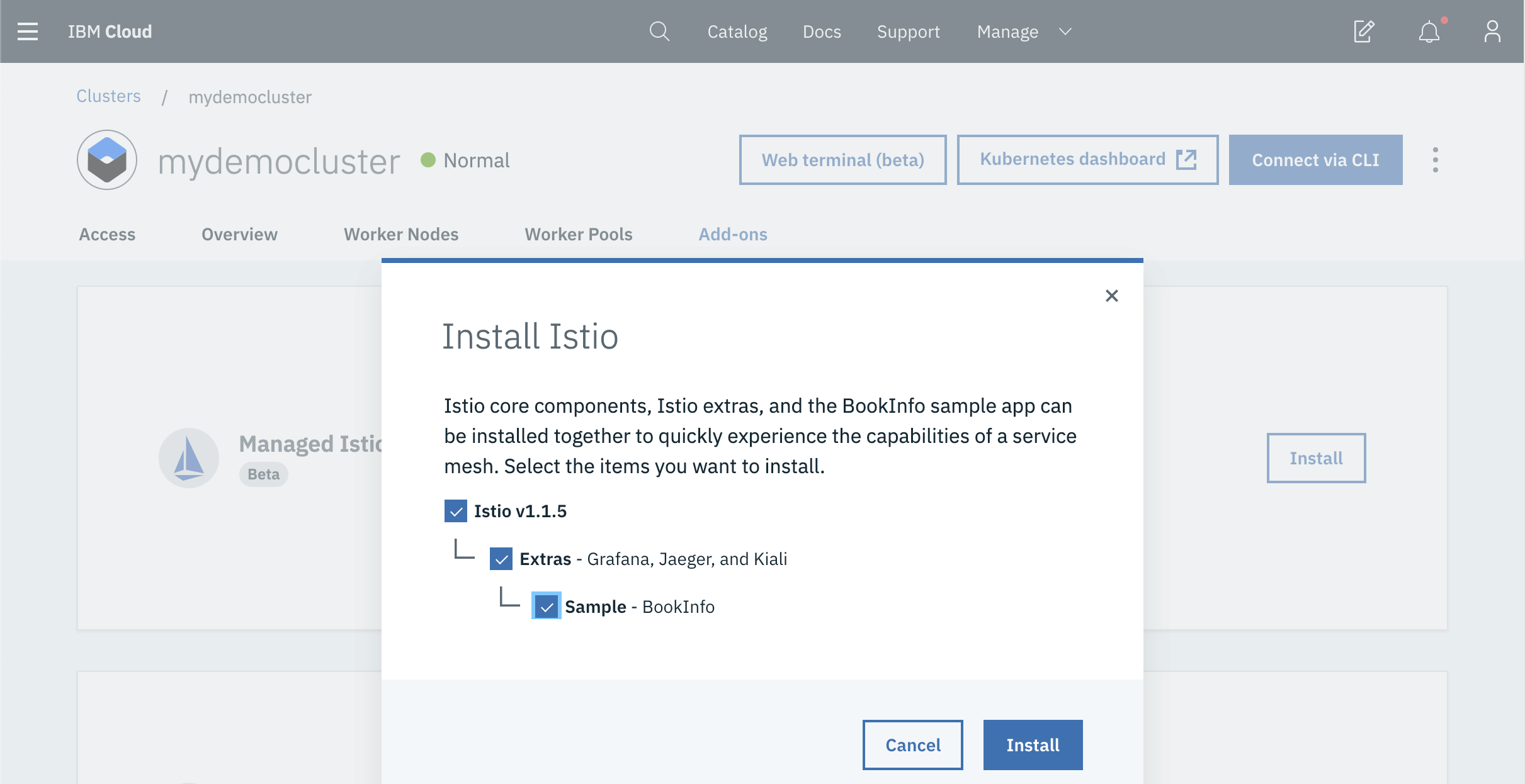 Enable managed Istio add-ons in the IBM Cloud console